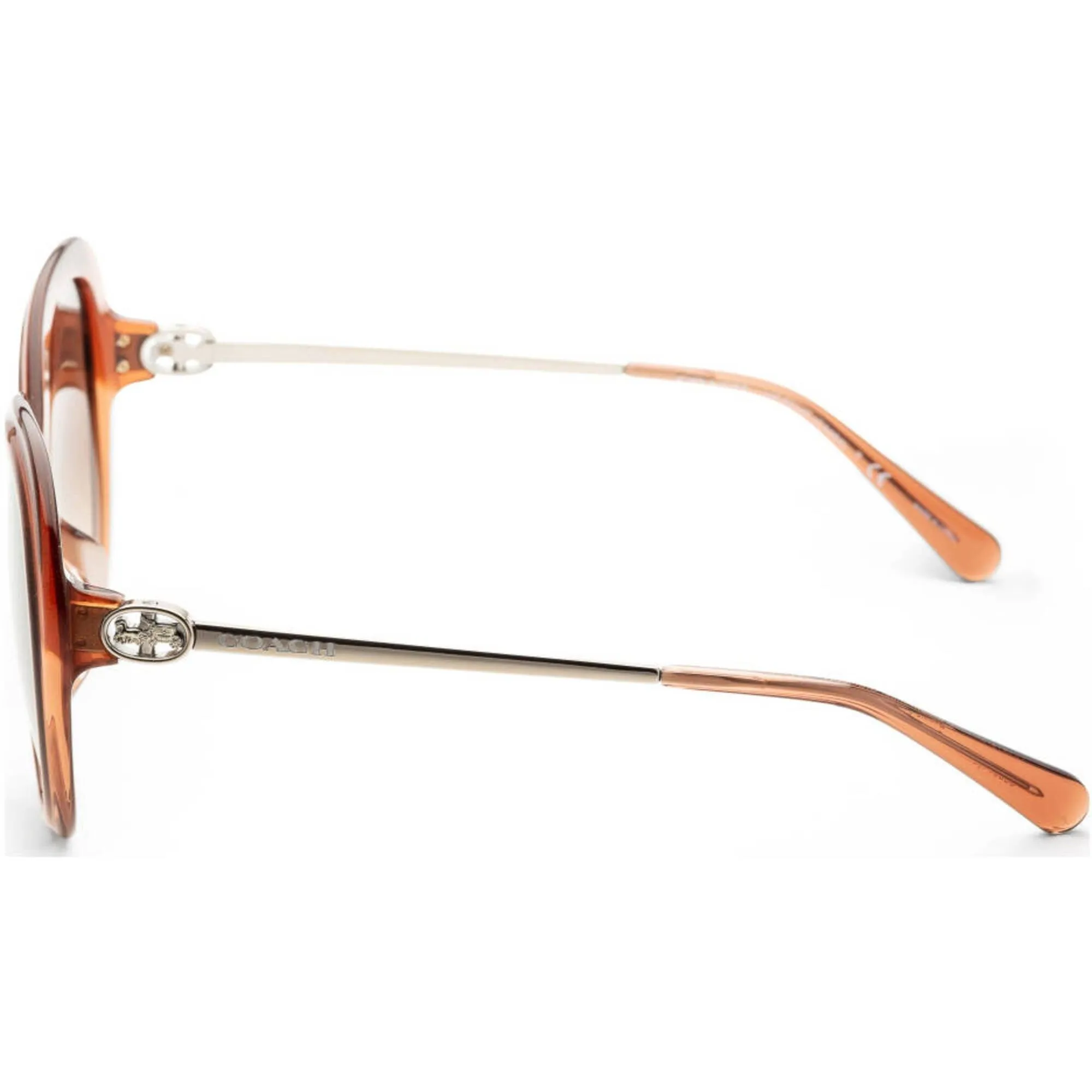 Coach Women's Sunglasses - Brown Gradient Lens Oversized | COACH 0HC8314F 56397459