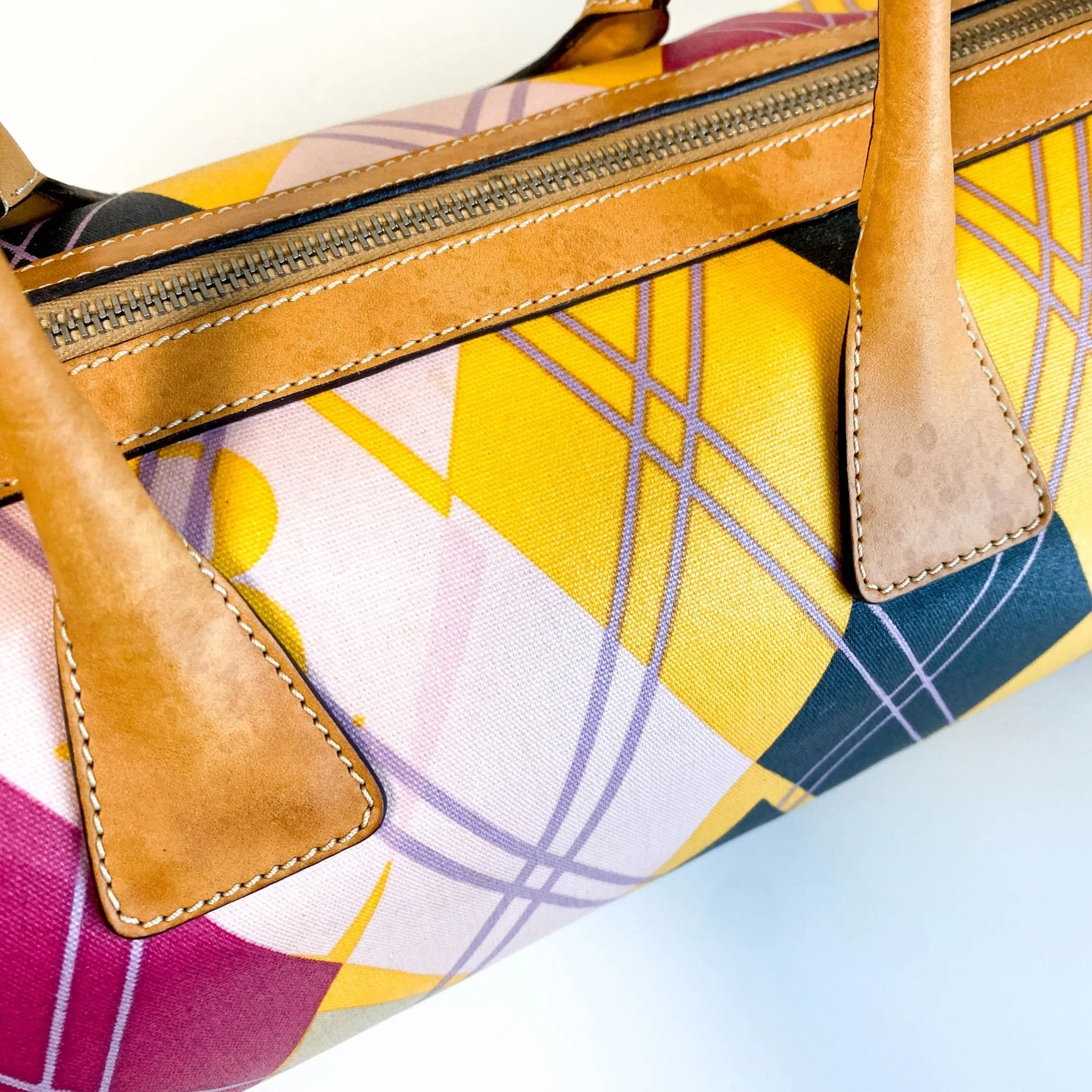 Multicolor Printed Coated Canvas and Leather Argyle Bag