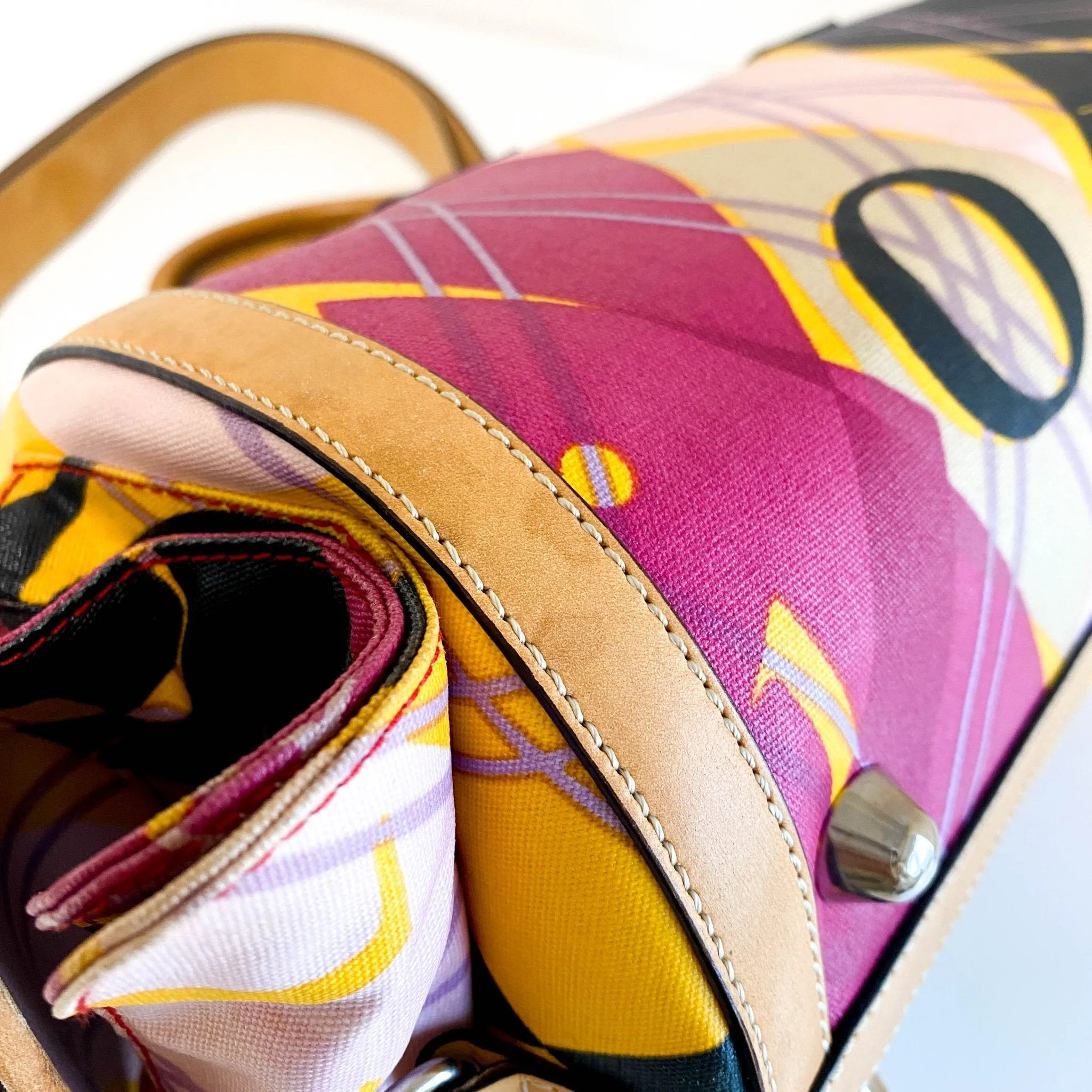 Multicolor Printed Coated Canvas and Leather Argyle Bag