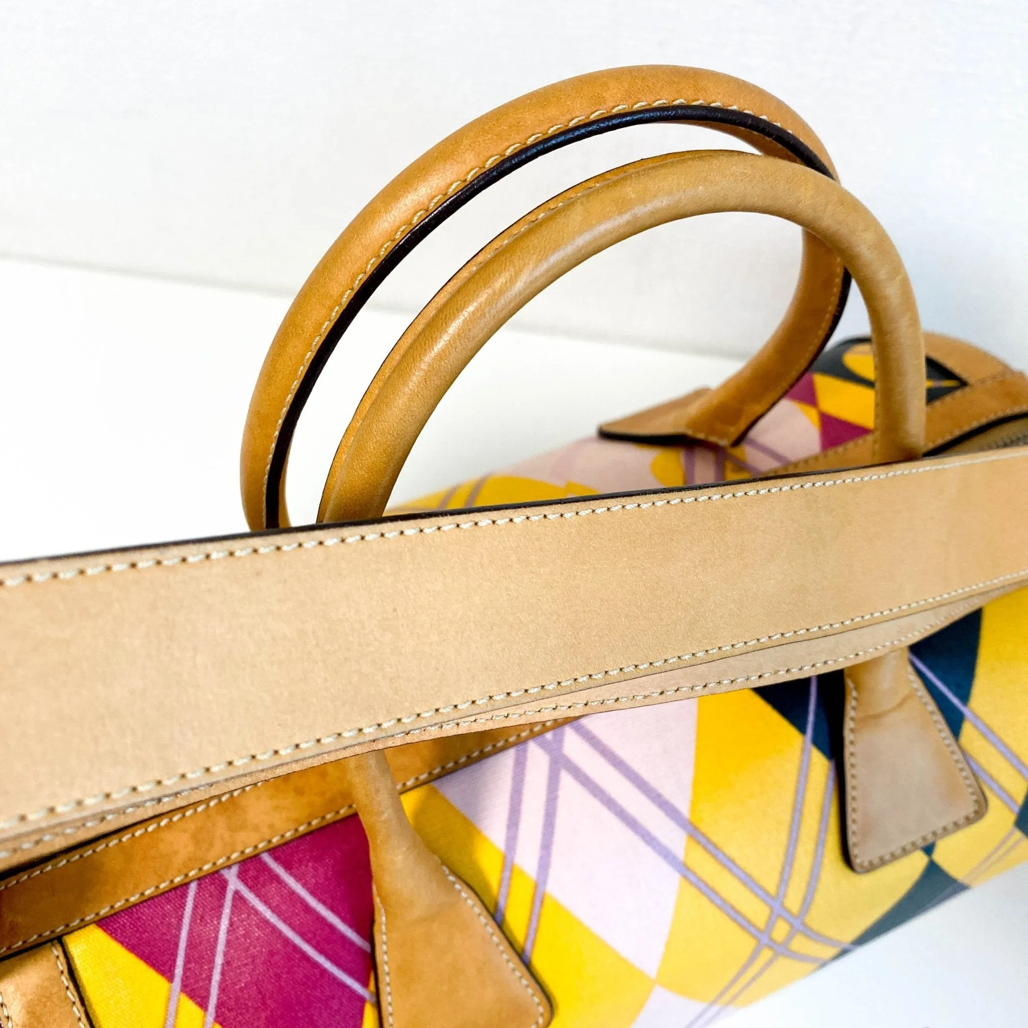 Multicolor Printed Coated Canvas and Leather Argyle Bag