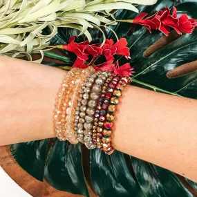 Nine Piece Crystal Bracelet Set in Iridescent Neutrals