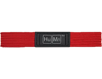 Replacement Shock Straps